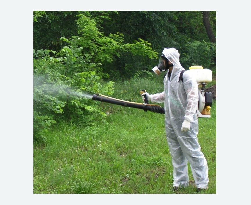 обработка территории от клещей в Боброве