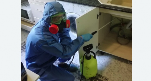 Уничтожение муравьев в квартире. Бобров