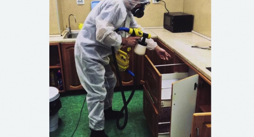 Уничтожение насекомых в квартире. Бобров