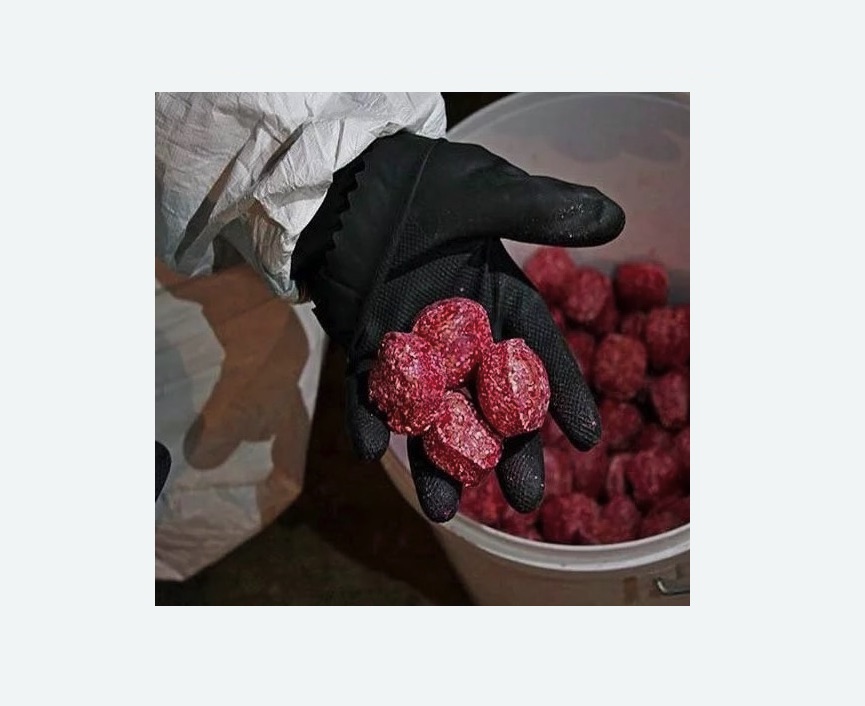 Обработка от крыс в Боброве