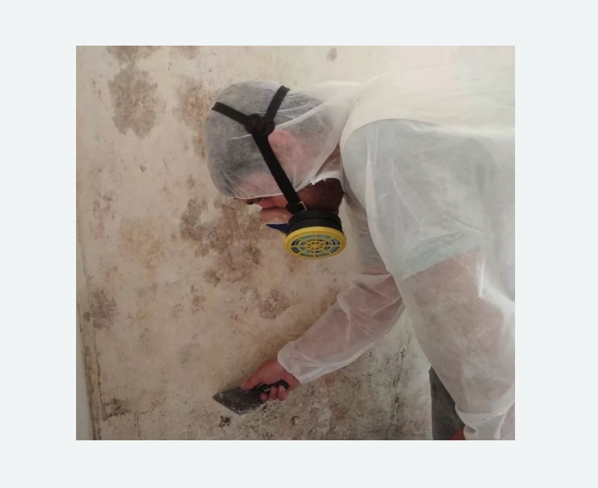 Обработка стен от плесени в Боброве