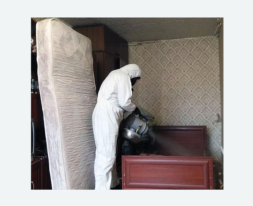 дезинфекция от клопов в Боброве