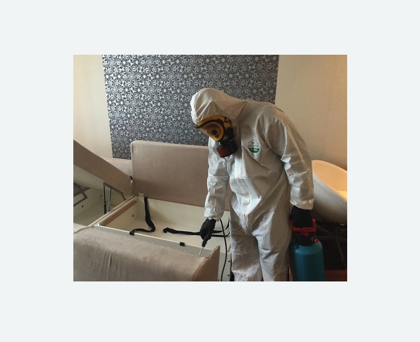 уничтожение клопов в квартире в Боброве