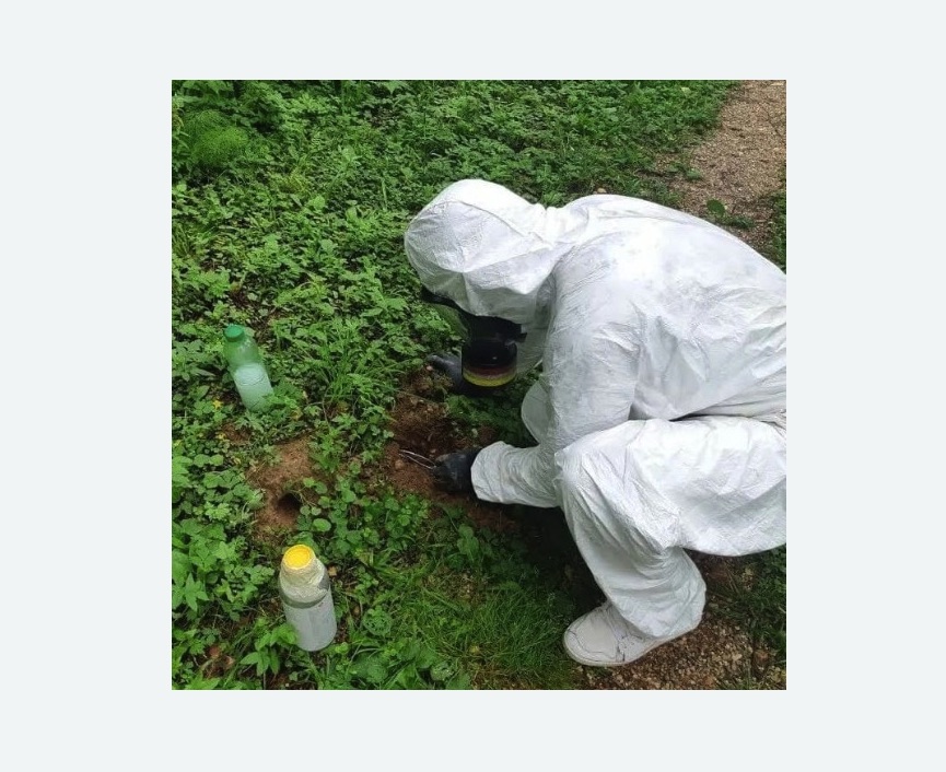 уничтожение кротов на участке в Боброве