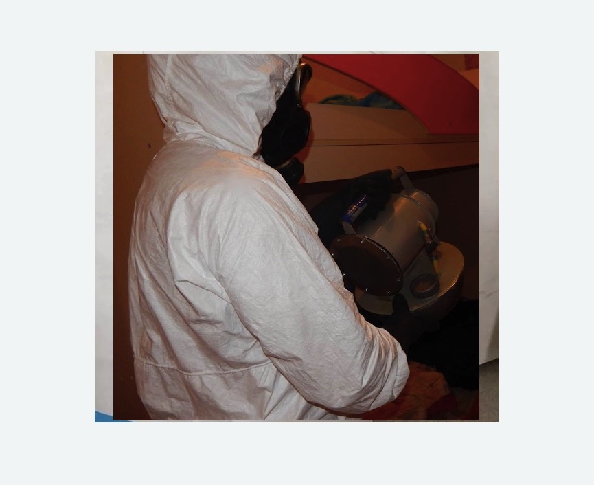 Дезинфекция от муравьев в Боброве