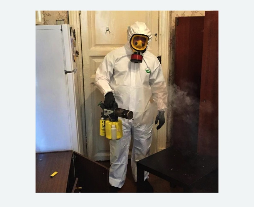 уничтожение муравьев в квартире в Боброве